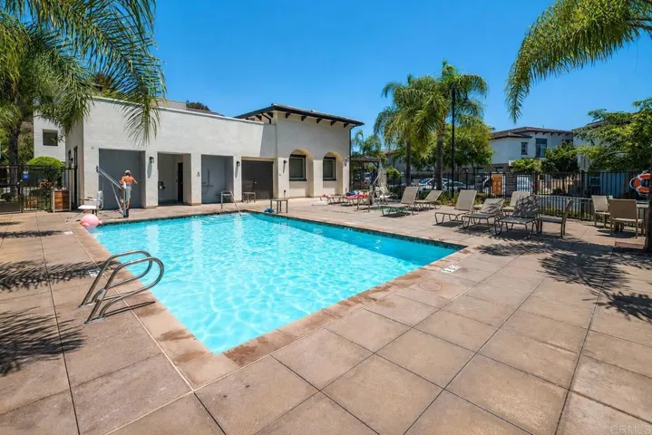 Amenities - Sunny poolside retreat with palm shadows
