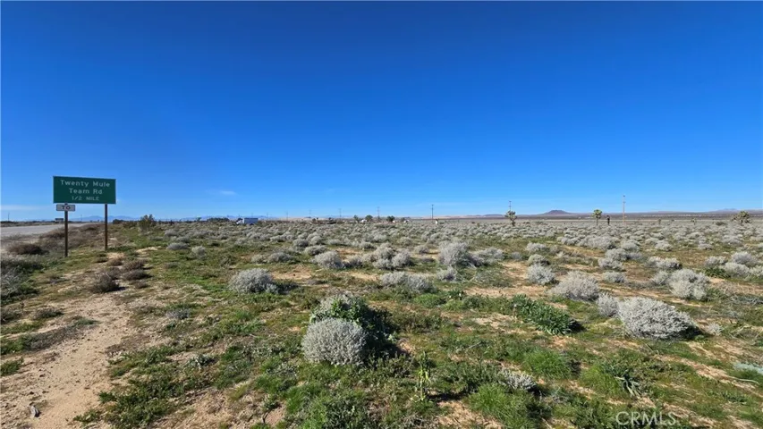 0 Twenty Mule Team Rd, Boron, California 93516