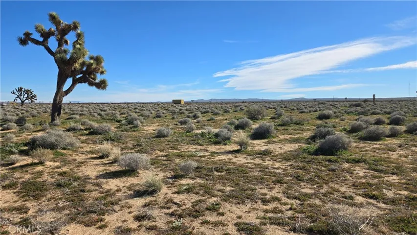 0 Twenty Mule Team Rd, Boron, California 93516