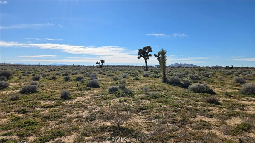 0 Twenty Mule Team Rd, Boron, California 93516