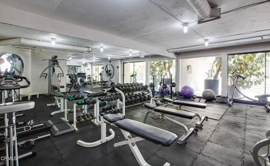 Kings 13 - Gym
