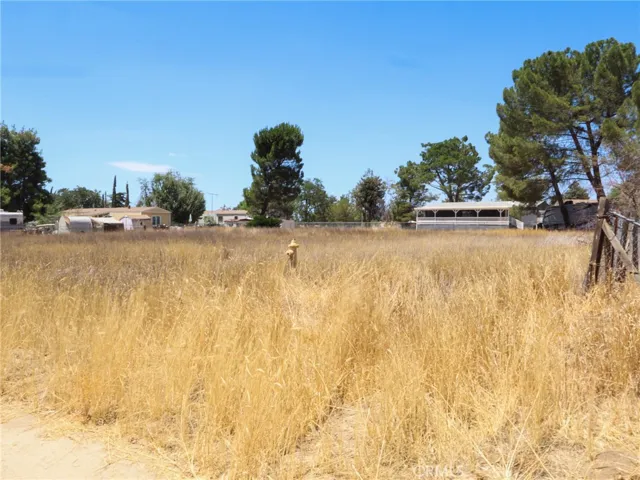 1 Pioneer Trail, Anza, California 92539