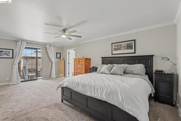 Spacious bedroom featuring neutral carpeting and light-toned walls