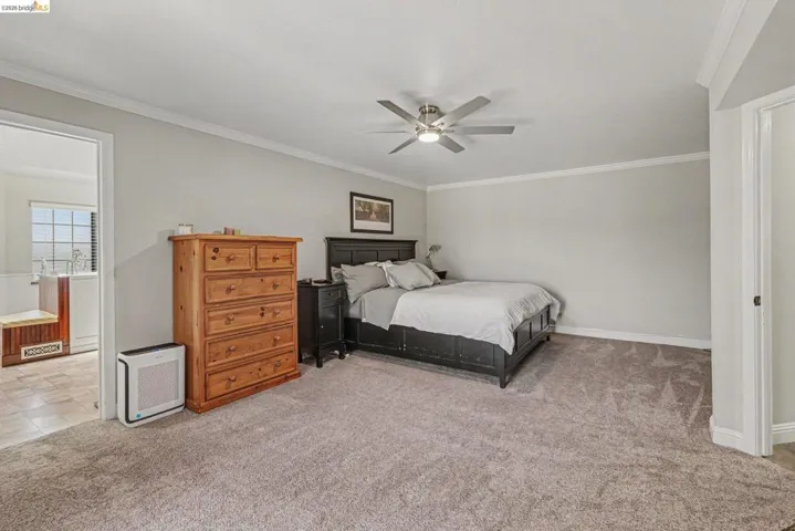 Spacious room featuring neutral carpeting, a ceiling fan with integrated lighting, and crown molding