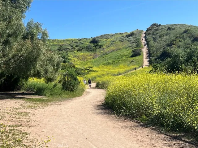 Peter's Canyon Hiking Trail