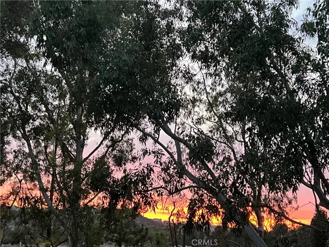 8215 E White Oak Ridge 33, Orange, California 92869