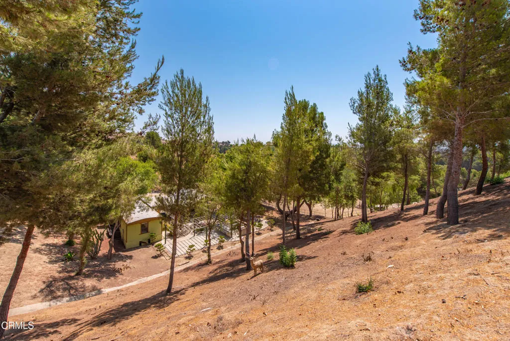 8450 Waters Rd Moorpark-33