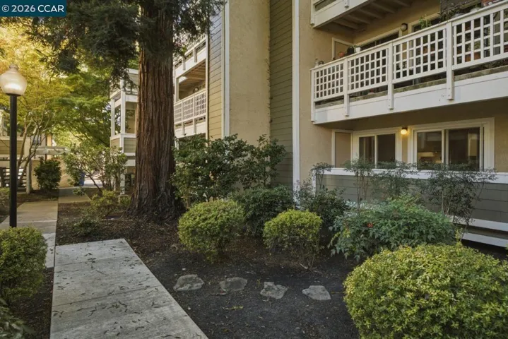 2597 Oak Rd A, Walnut Creek, California 94597
