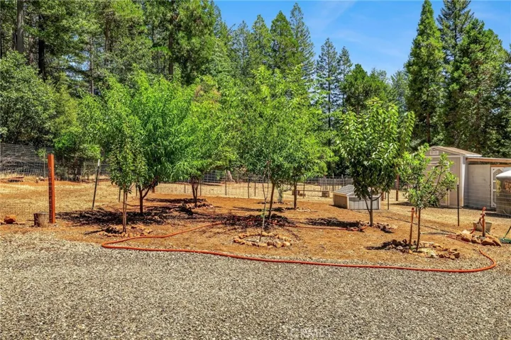 10020 Cohasset, Cohasset, California 95973