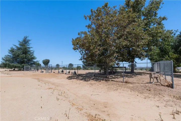 A chain link fenced dog run