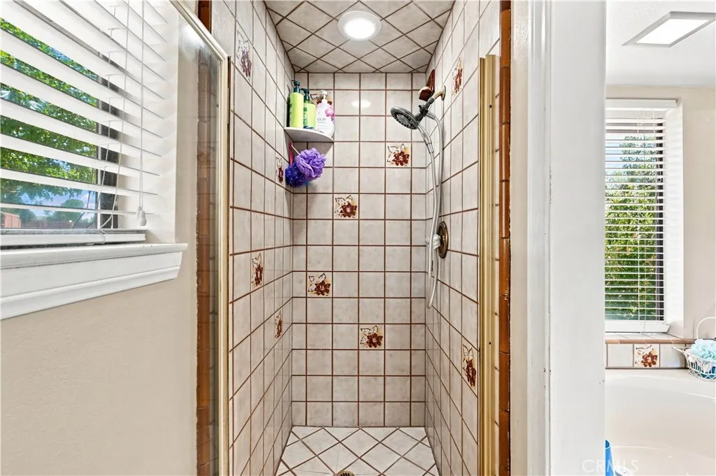 Master shower