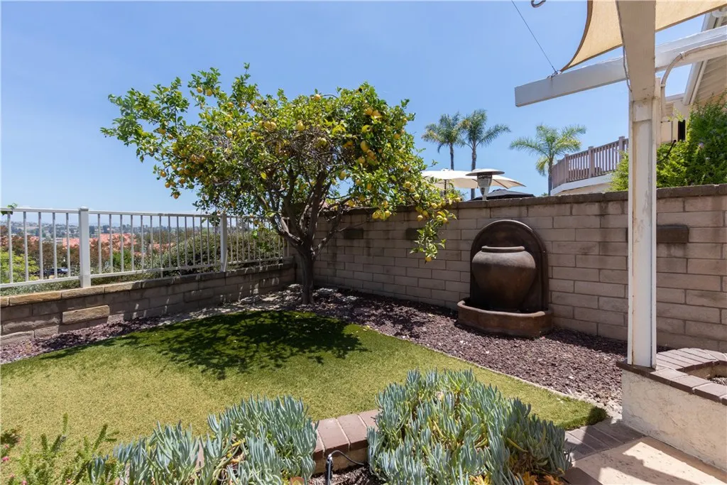 Beautiful fountain and citrus tree.