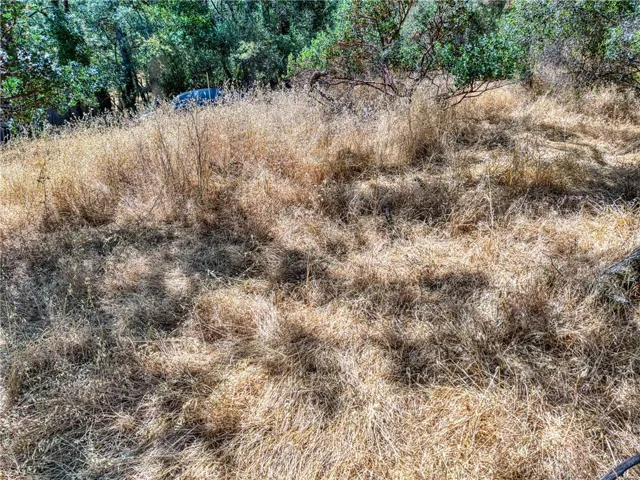 13020 Ridge Street, Clearlake, California 95422