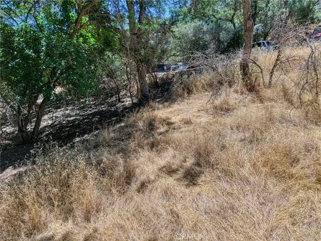 13020 Ridge Street, Clearlake, California 95422