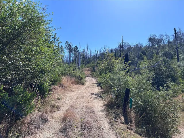 17 Big Oak, Berry Creek, California 95916