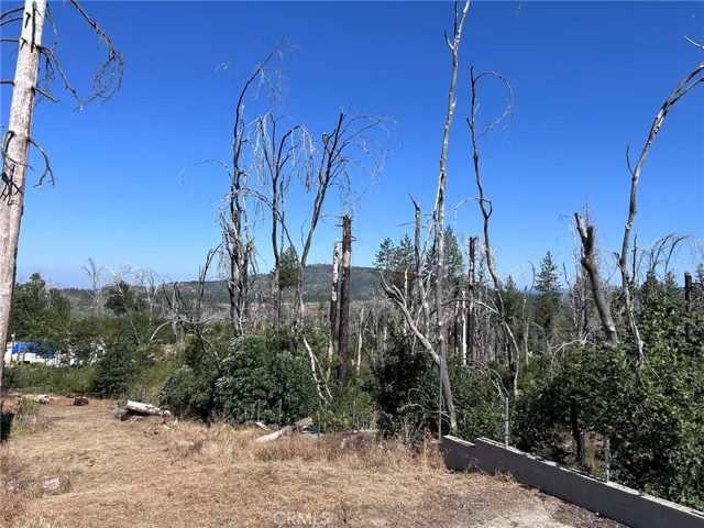 17 Big Oak, Berry Creek, California 95916