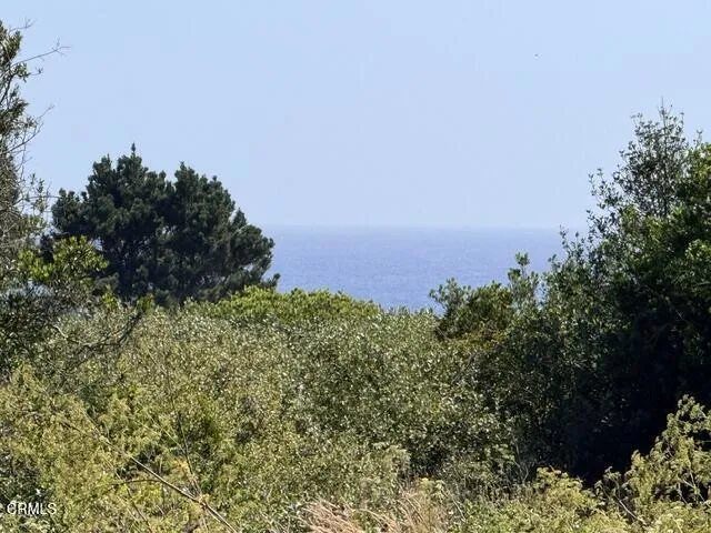 Ocean view