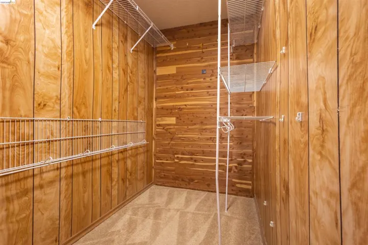 Spacious closet featuring wood-paneled walls and carpet flooring