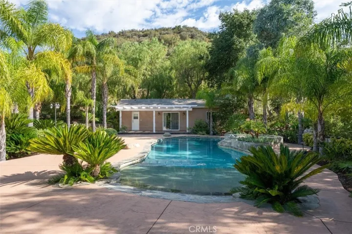 POOL WITH BEACH ENTRY