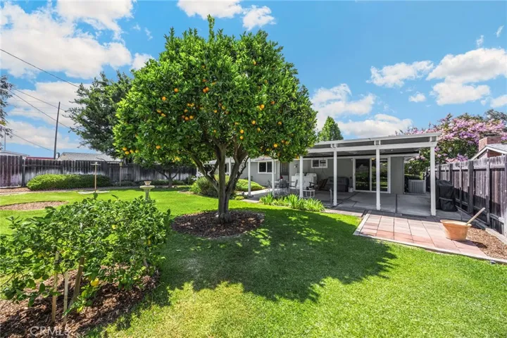 Spacious backyard