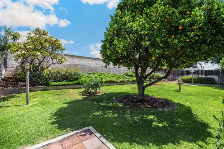 Backyard with fruit trees