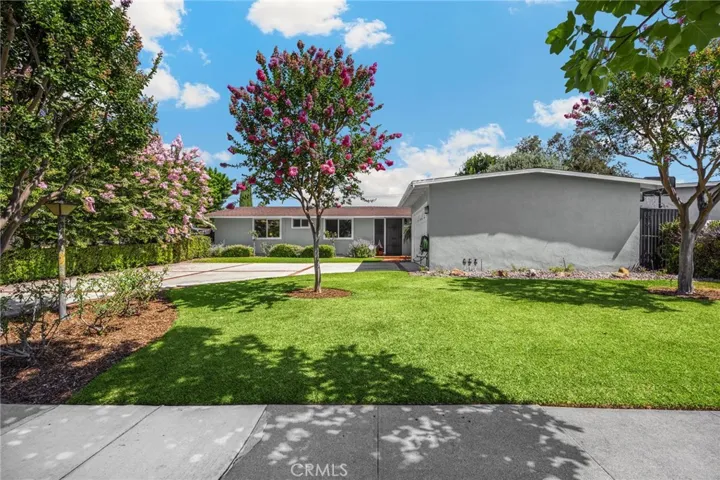 front yard