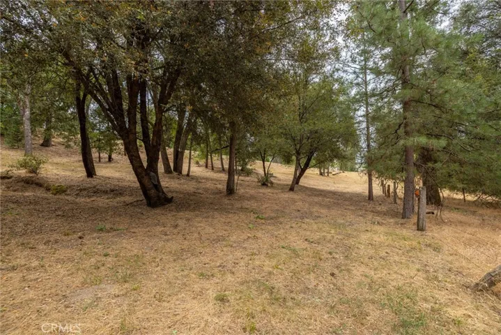 5655 Harris Cut Off, Mariposa, California 95338