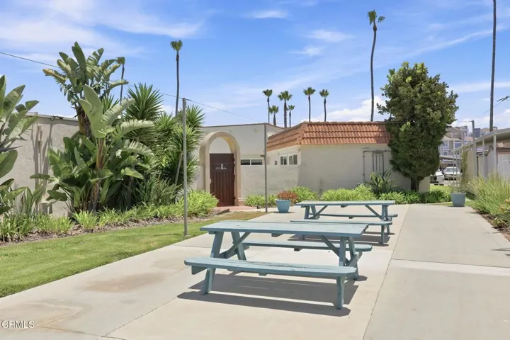 43-web-or-mls-IMG_3592