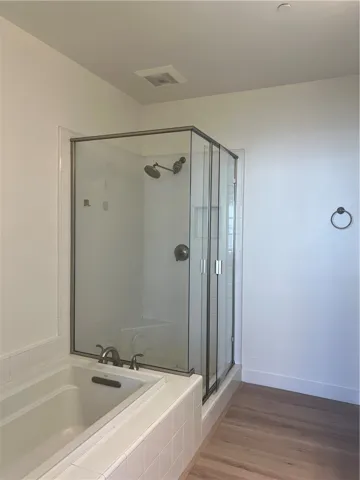 Master tub and shower room