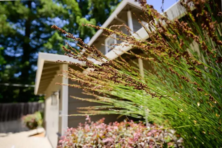 240 Bobs Lane, Scotts Valley, California 95066