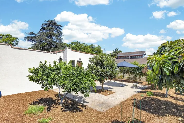Backyard with personal orchard (various fruit trees)