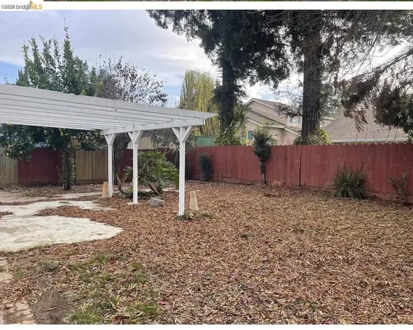 Expansive backyard featuring a white pergola, concrete patio area, and mature perimeter trees