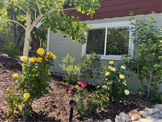 1465 Golden Rule Lane, Lake Arrowhead, California 92352