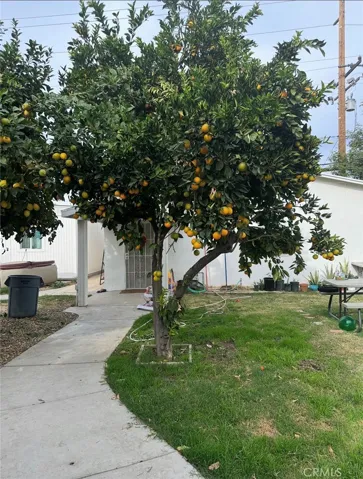 1632 Gould, Loma Linda, California 92354
