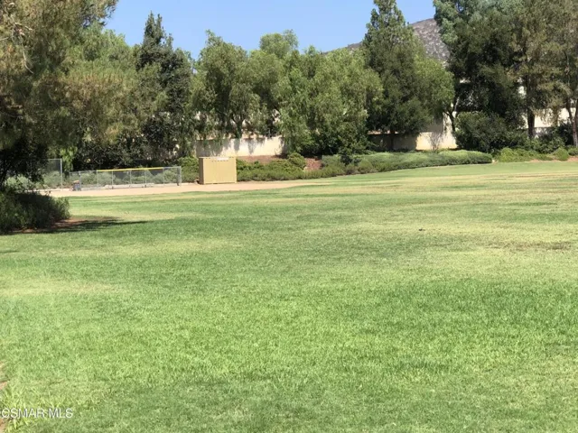 Playing field close up