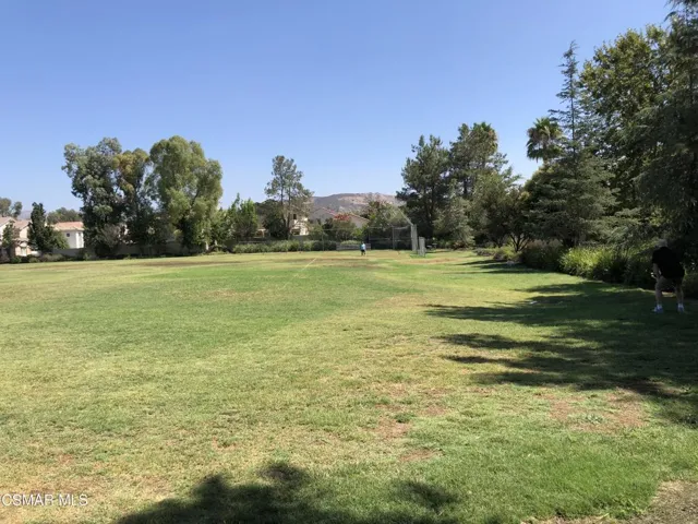 Playing field