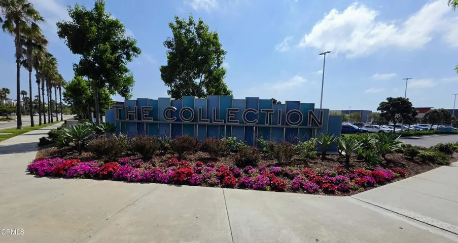 The Collection