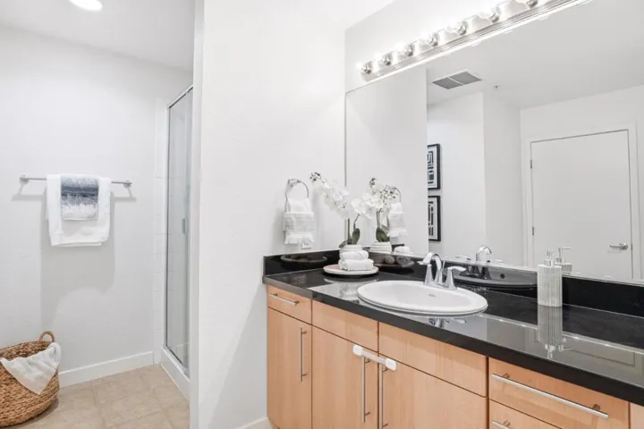 88 Bush Street 3161, San Jose, California 95126