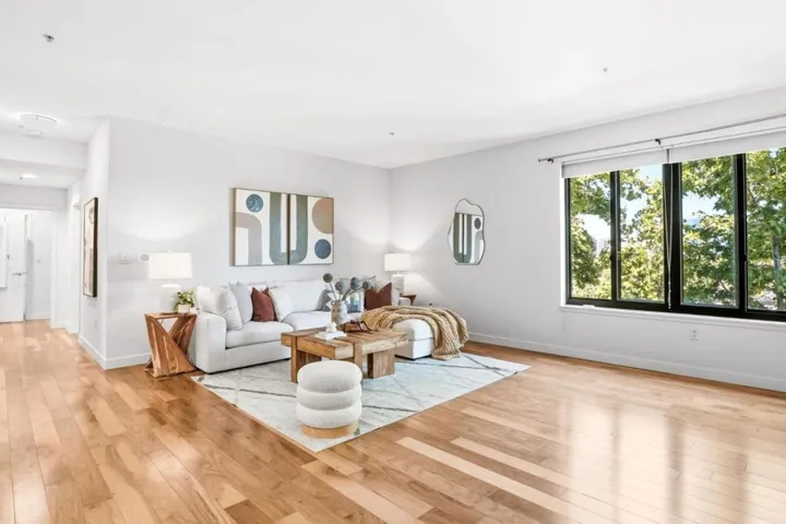 88 Bush Street 3161, San Jose, California 95126