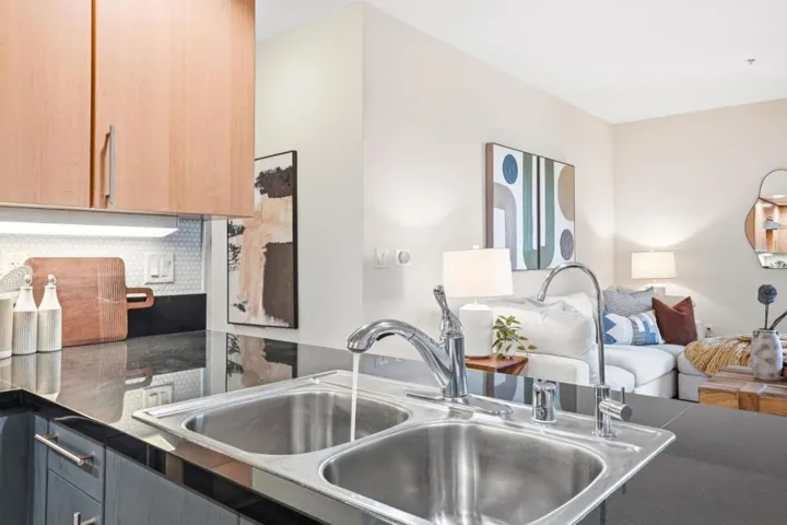 88 Bush Street 3161, San Jose, California 95126