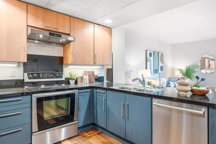88 Bush Street 3161, San Jose, California 95126