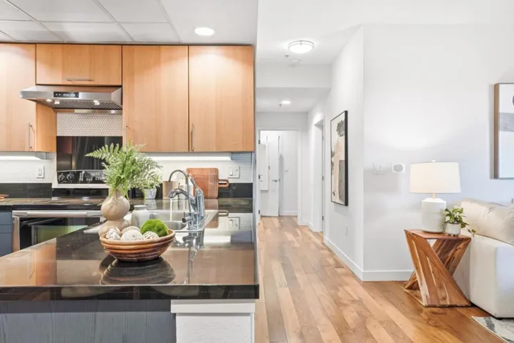 88 Bush Street 3161, San Jose, California 95126
