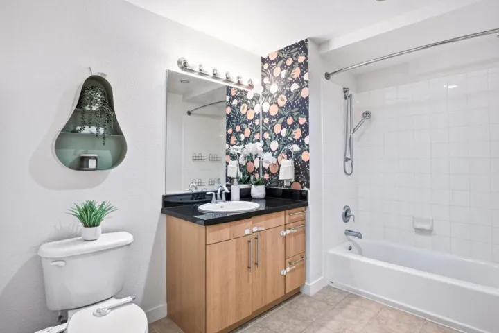 88 Bush Street 3161, San Jose, California 95126