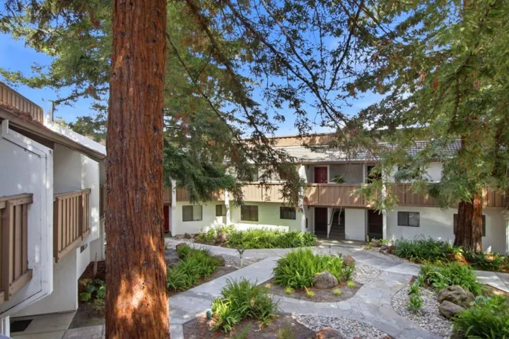2201 Monroe Street 204, Santa Clara, California 95050