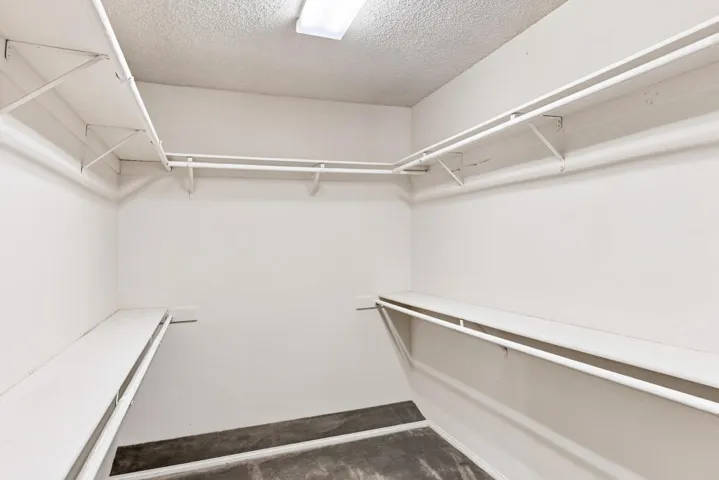 Gigantic Walk-In Closet