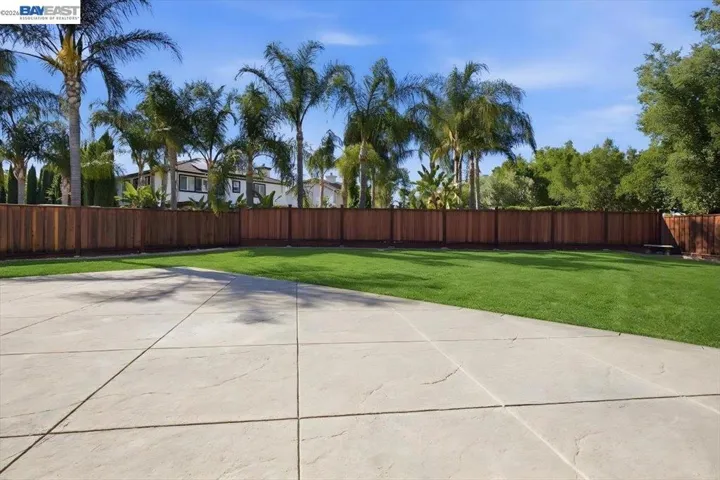 outdoor backyard