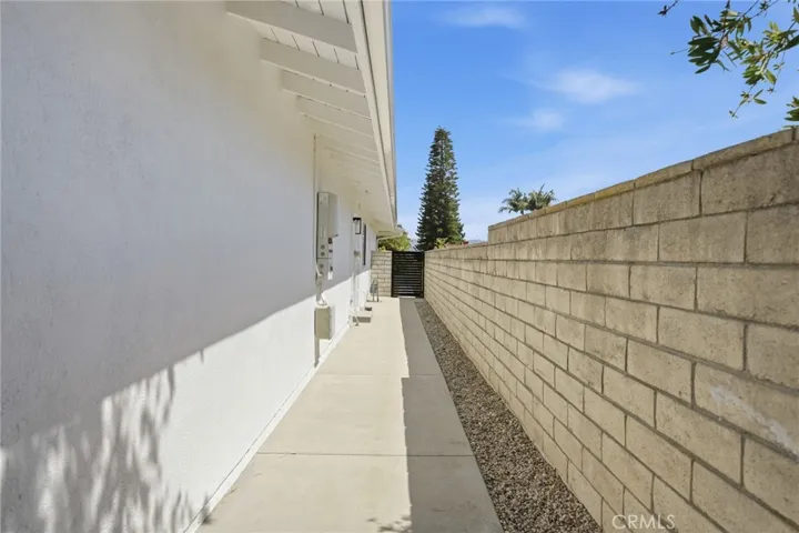 Left Side yard