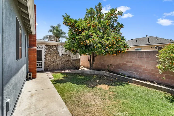 Backyard with lawn and fruitful tangerine tree.