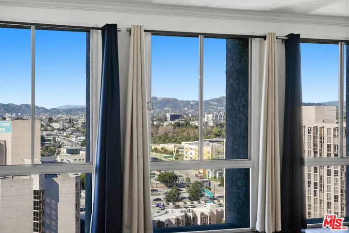 Views of DTLA & Beyond