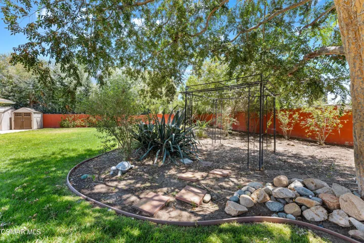 Large Yard